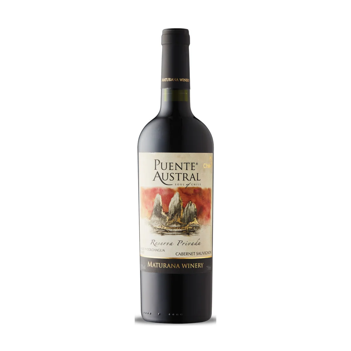 Puente Austral Cabernet Sauvignon Reserva