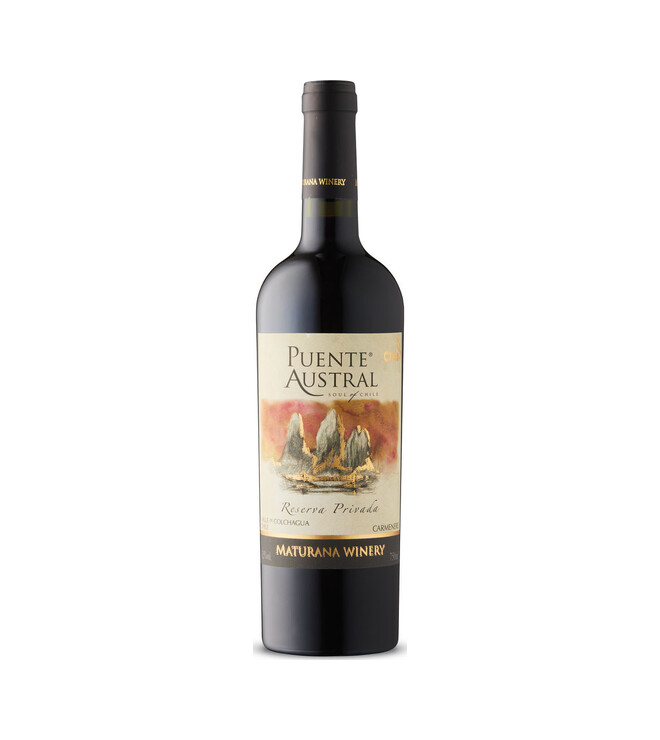Puente Austral Carmenere Reserva
