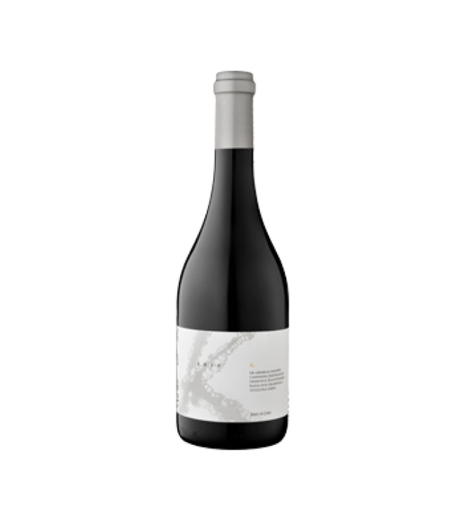2 Vinos Premium Carmenere 2021 & Ensamblaje 2019 Elqui Wines 750 ml