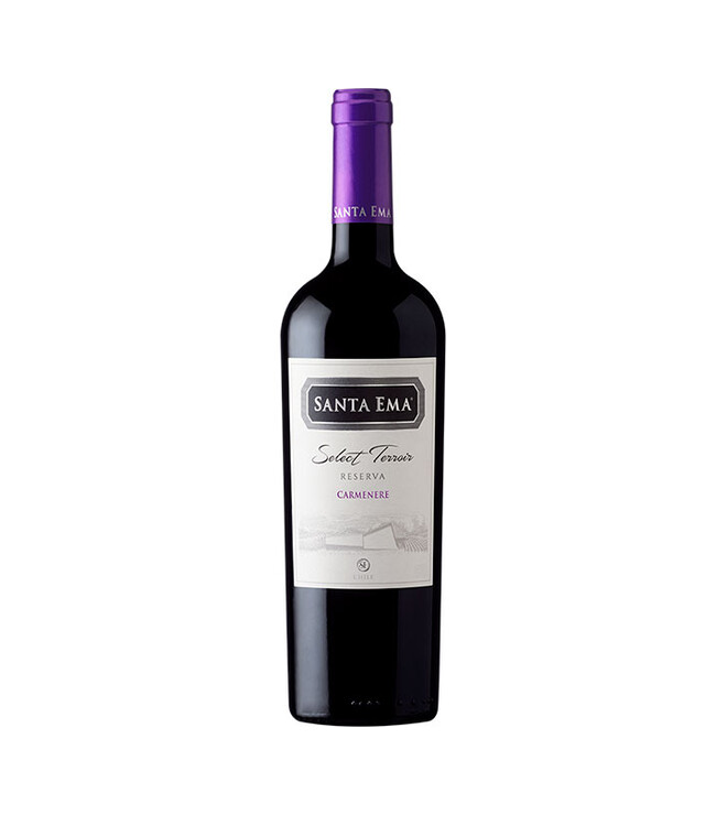 Vino Casa Silva Terroir de Familia Reserva Carmenere 750cc
