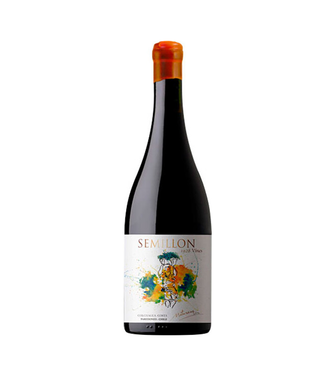 Semillon Maturana Wines Premium